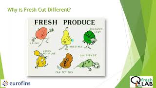 Designing Success in Your Fresh cut Fruit and Vegetable Process