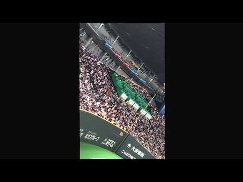 オリックスバファローズ西野真弘応援歌