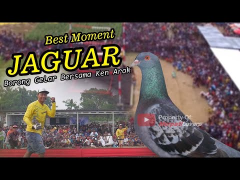 BEST MOMENT JAGUAR | EVENT MOBILAN KOLONG SILIREJO PEKALONGAN 2020 BORONG GELAR BERSAMA KEN AROK