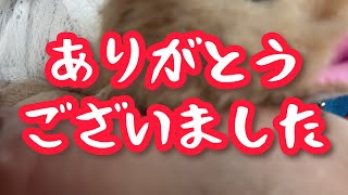 Thank you for coming to the 9/13 event - YouTube