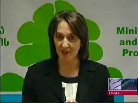 MOE: პრესკონფერენცია სამინისტროს რეორგანიზაციისა და განხორციელებული ცვლილებების შესახებ