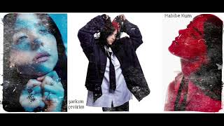 Billie Eilish- What was i made for - Türkçe Çeviri