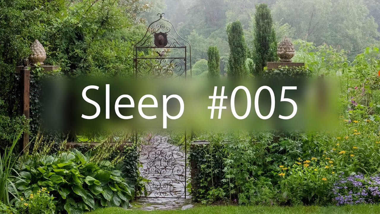 Calming Attention - Sleep Meditation