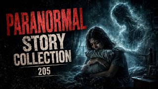 Paranormal Story Collection | Vol. 205 screenshot 4
