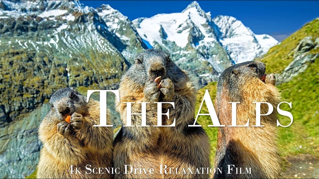 The Alps in 4k - Scenic Drive | Breathtaking High Alpine Road