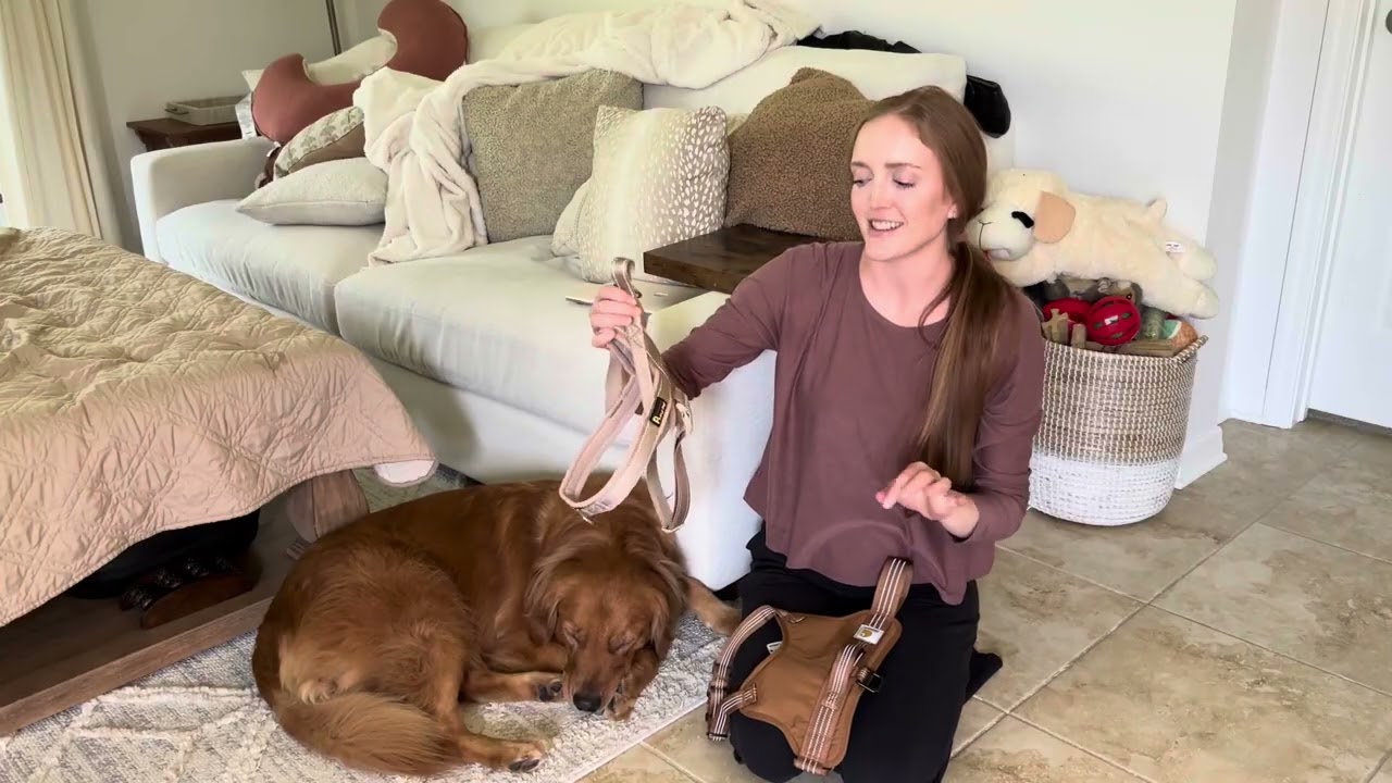 Golden Retriever Mom's Review & Comparison - Plutus Pet vs. Carhartt Harnesses