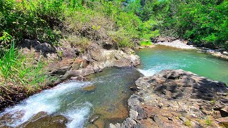 Escape The Hustle And Bustle With A Serene Forest River - Melodious Water Flow in a Wide rocks