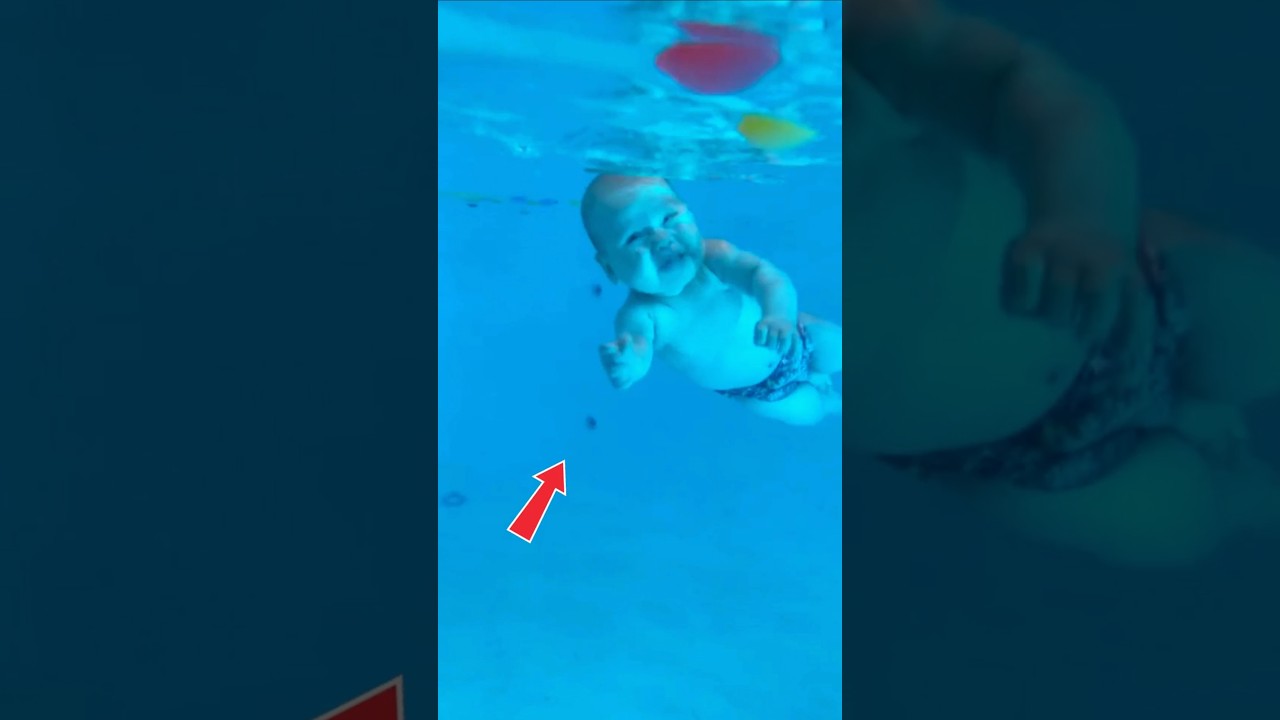 Why Can Babies Swim 👶