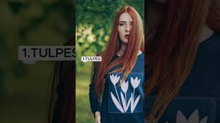 Nobalso, Kuru Dizainu Mums Vajadzētu Atjaunot Piedāvājumā?