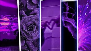 Purple 💜 Aesthetic ✨ Wallpapers 🥀.               Purple vibes🔥#purplebts #purplewallpapers screenshot 5