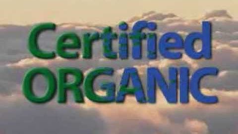 SpiceMaster Video Transitions Plugins -- Title Effects Example 03