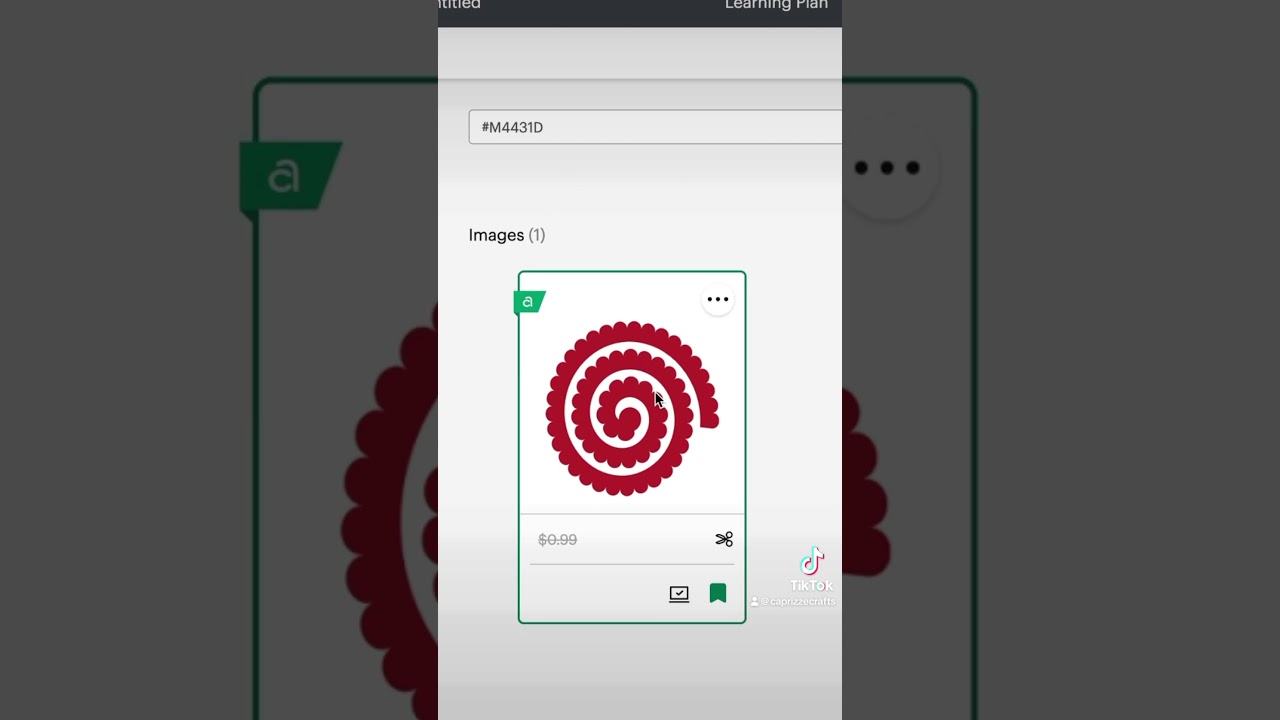 CRICUT DESIGN SPACE ROLLED FLOWERS