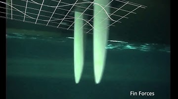 Finprop experiments at Marin