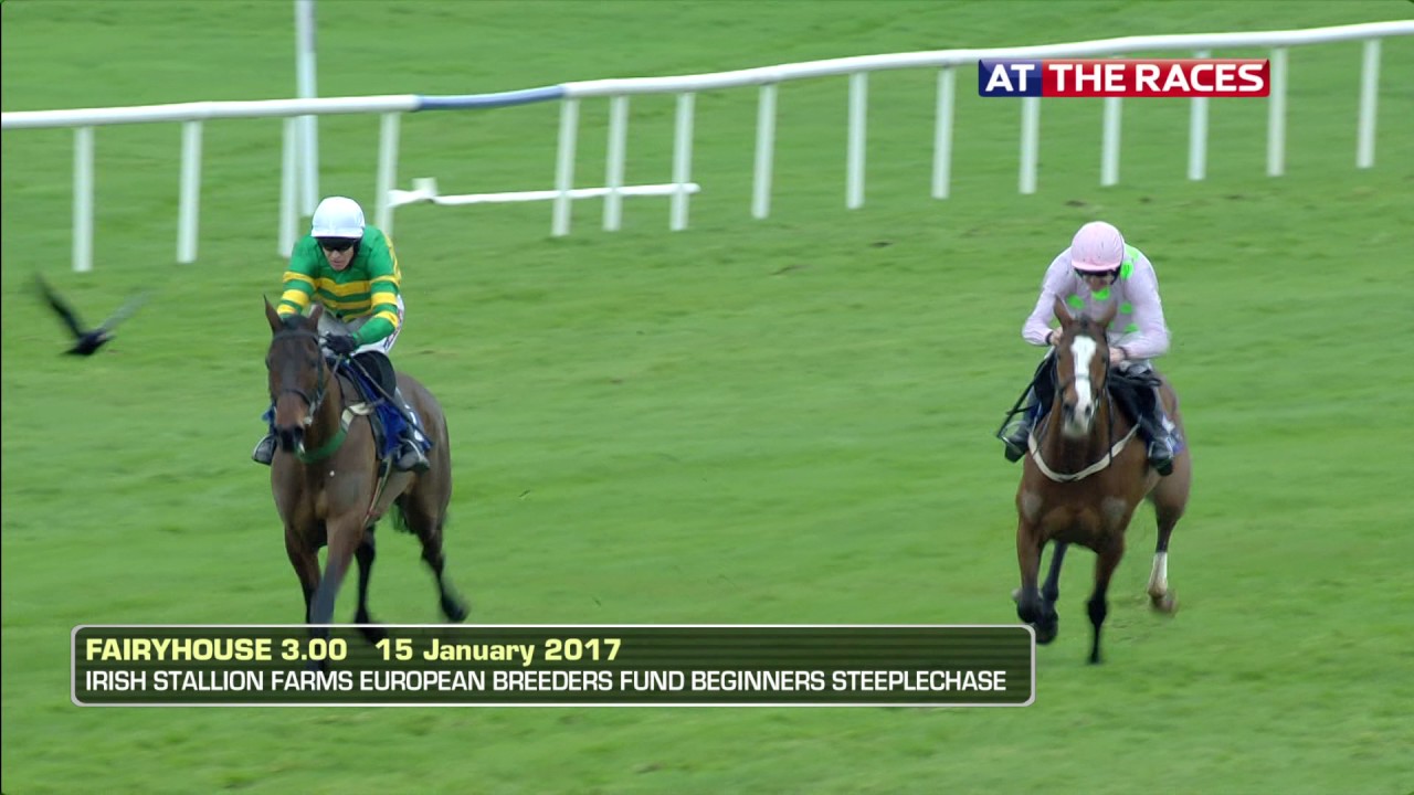live fairyhouse racing