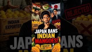 Why Japan Banned Indian Mangoes Again? 🇮🇳🇯🇵 #indianmango #japan #shorts