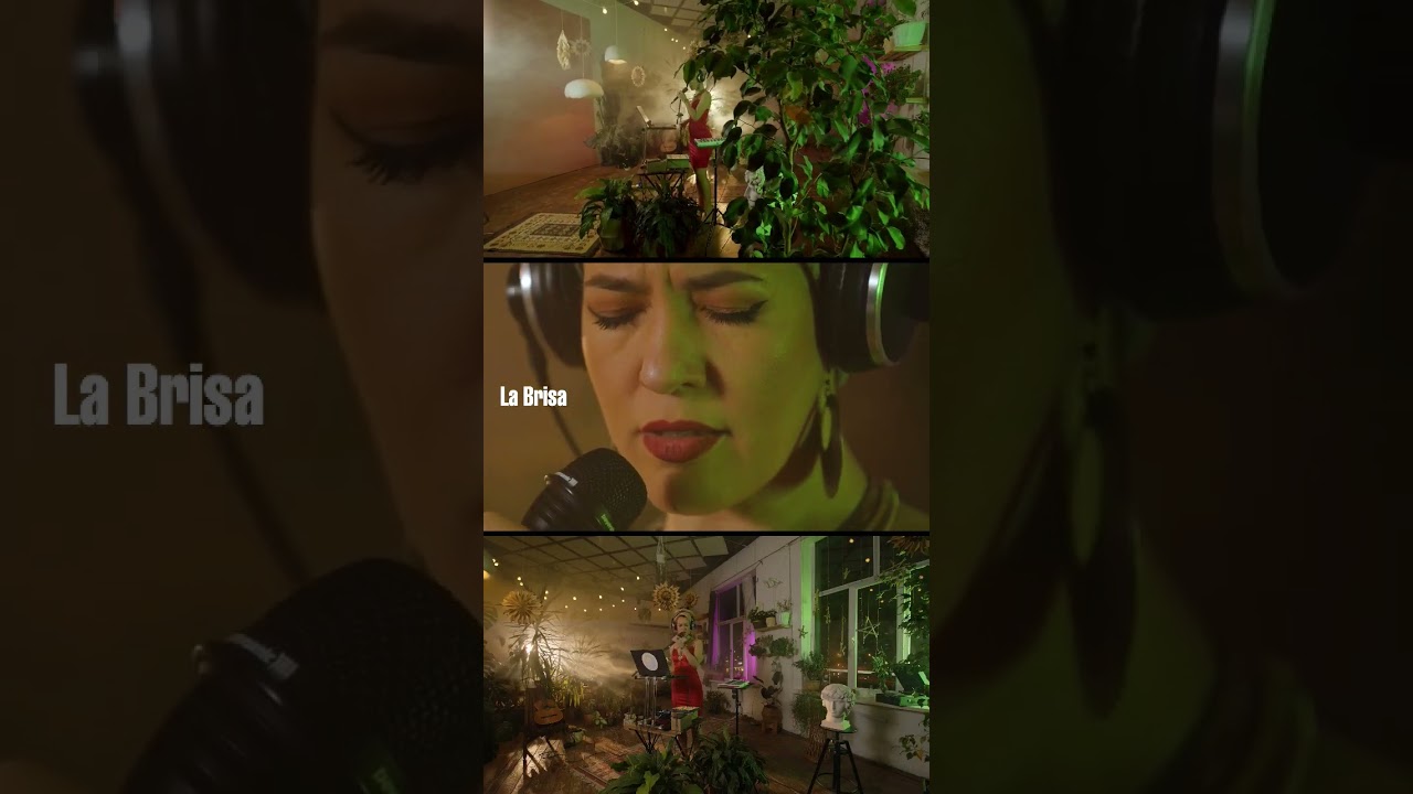 La Brisa - part of my concert Afromagia