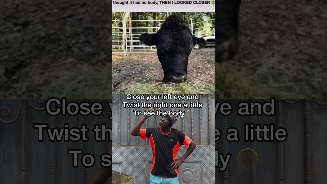 The Kapil Sharma Show LIVE Comedy Ka Mega Show Non Stop Funny Moments - YouTube Auto PHP Script