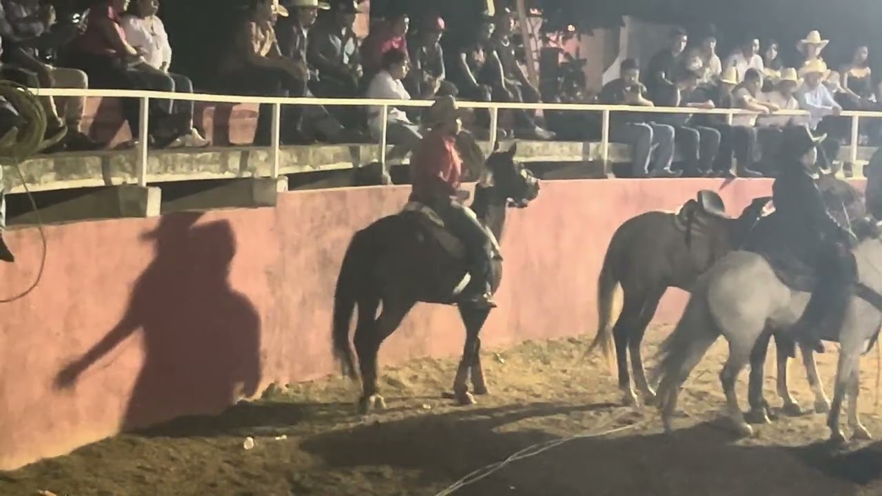 El fugitivo ‼️📌. Dejando completamente fuera de sirculacion a esta cabalgadura 🔥