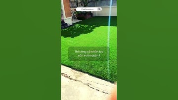 Cỏ nhân tạo trải sân vườn Quận 1, TPHCM | VuaThamCo  #vuathamco