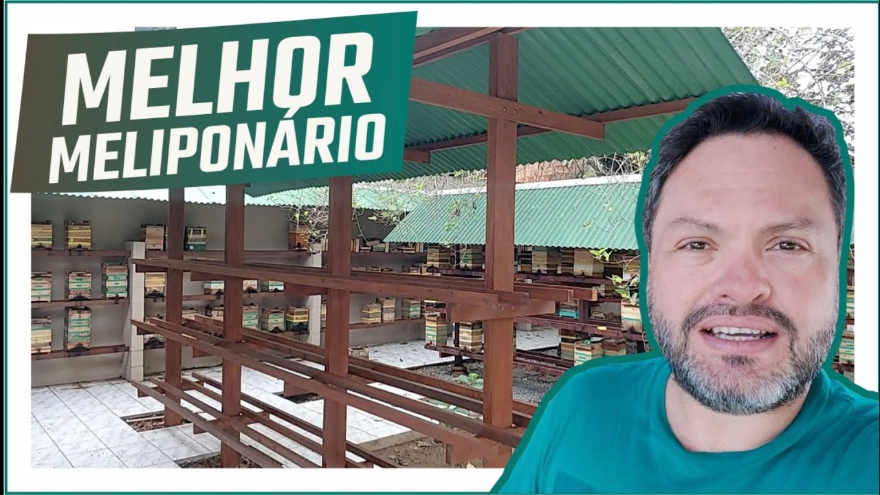 SENSACIONAL meu NOVO MELIPONÁRIO para BUGIAS