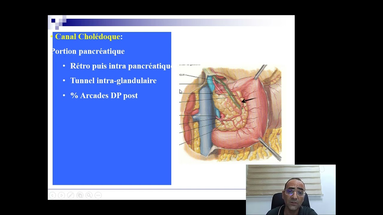 anatomie des voies biliaires