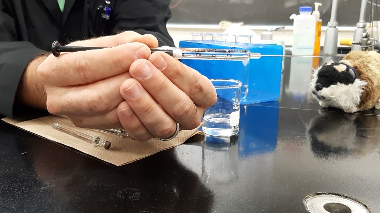 Lewis' Guide to using Volumetric Syringes (Hamilton Gas Tight) YouTube
