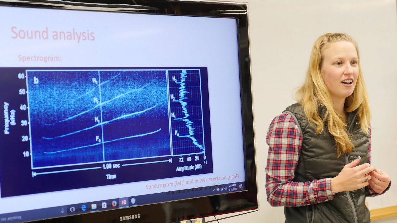 Careers in Science: Selene Fregosi