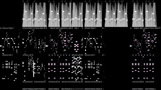 ECHO OF INSANITY