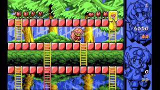 Rodland on Atari STE