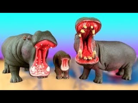 zoo animals worksheet Happy Cute ZOO Animals WILDLIFE Watering Hole Playset Hippopotamus Tigers Toy Review SuperFunReviews
