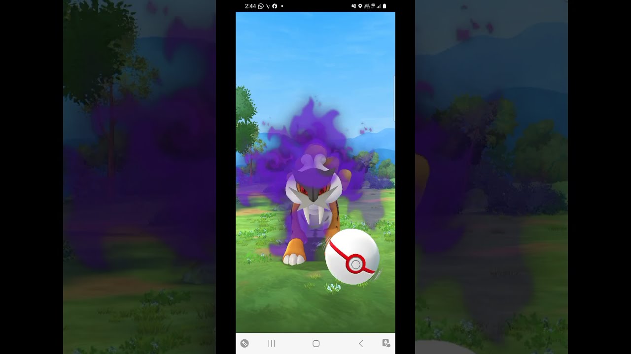 SHINY SHADOW RAICOU!!! Pokemon Go Shadow Raid Day