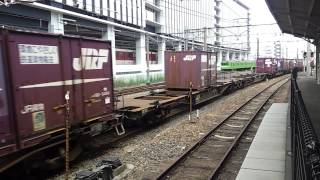 EF210 100番台シングルアームパンタグラフ牽引 コンテナ貨物列車