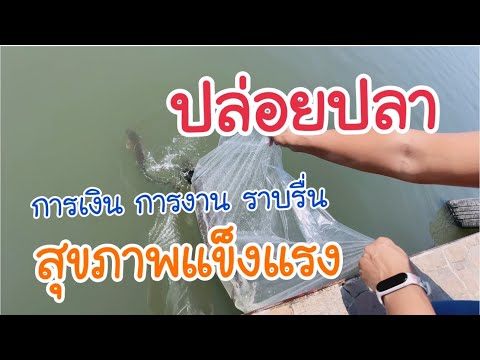 ผลสลากกินแบ่งรัฐบาล วันที่ 1 พย. 2567