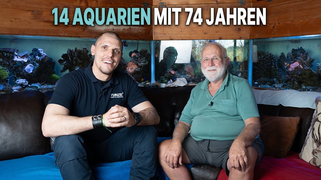 Mit 74 Jahren 14 AQUARIEN zu Hause?! - Wie geht das?
