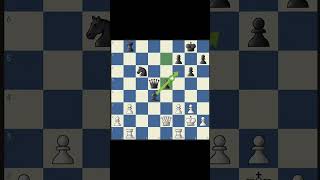 Daniel Naroditsky Brilliancy!! 🥶🥶🥶#chess #magnus #hikaru