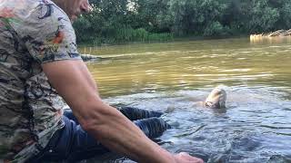 River Wetlook With Spray On Jeans