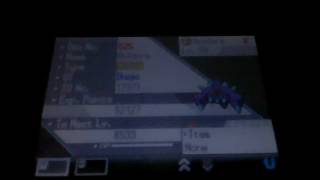 Pokemon White: Shiny Boldore