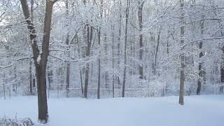 The Perfect Tool For Any Snow