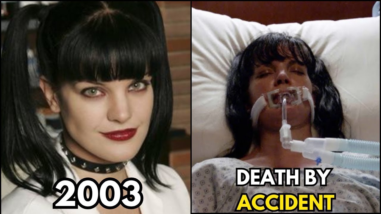 15 Beloved NCIS Actor Actors Who Tragically Passed Away