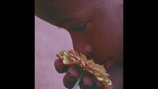 [FREE] Frank Ocean x SZA Type Beat - "Flowers" screenshot 4
