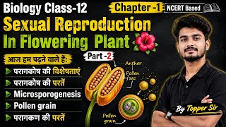 पुष्पी पौधों में लैंगिक जनन #Sexual Reproduction In Flowering Plant #Class -12 NCRT #Part -2