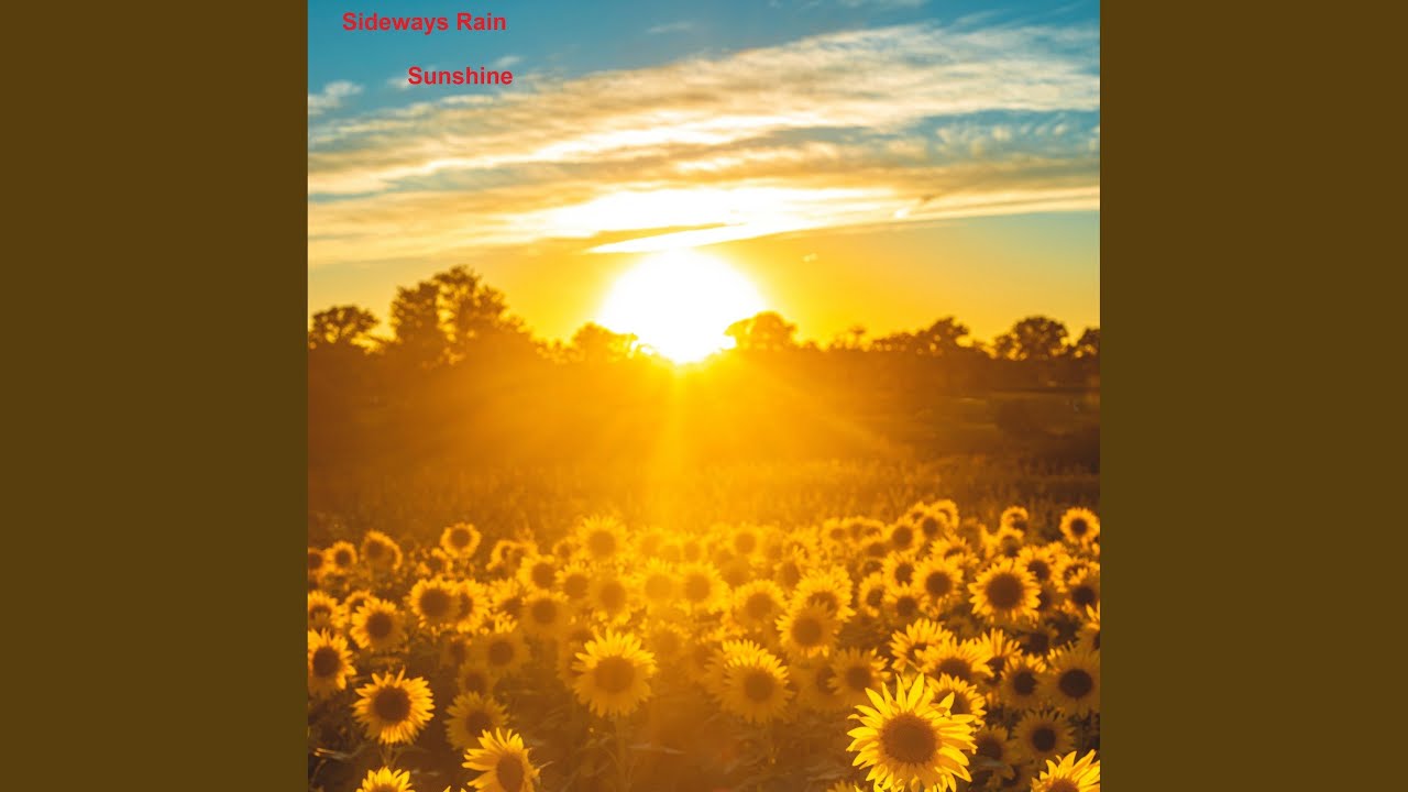 Can't fight the feeling (Instrumental)