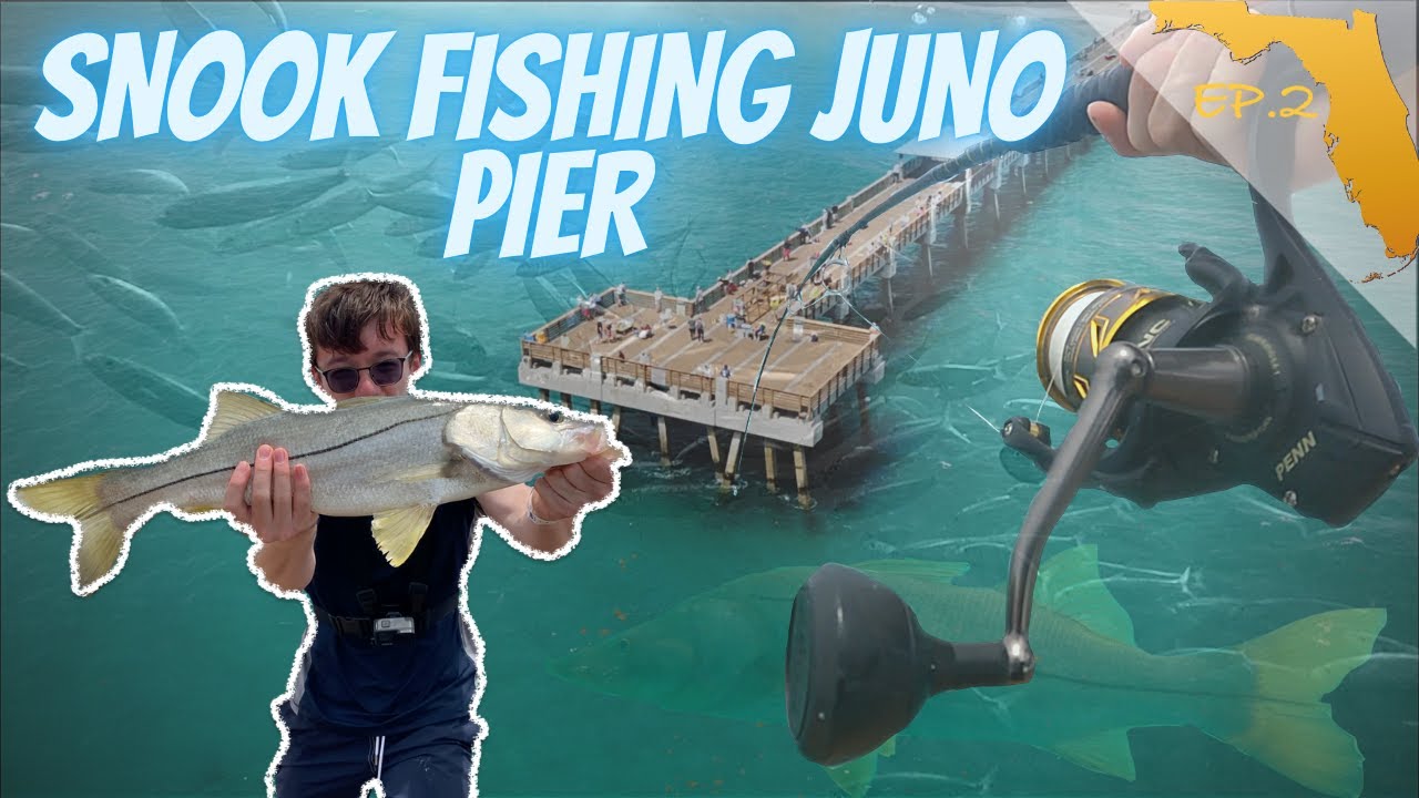 SNOOK and TARPON fishing JUNO BEACH PIER (DRONE AND UNDERWATER FOOTAGE) EP. 2 THE TREASURE COAST
