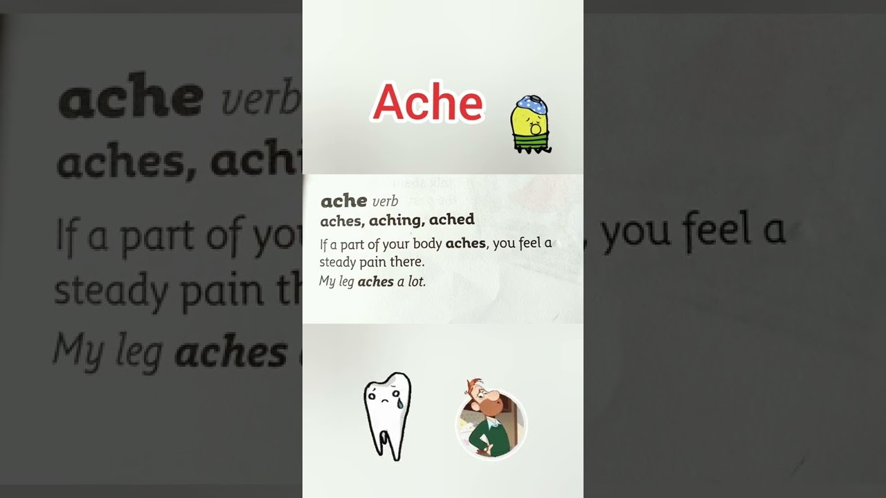 Ache | 📚Word of the Day with Gitte | Collins First School Dictionary | 
