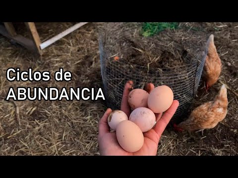 GALLINAS & COMPOST,  Huevos, Fertilidad - Ciclos Cerrados & Permacultura