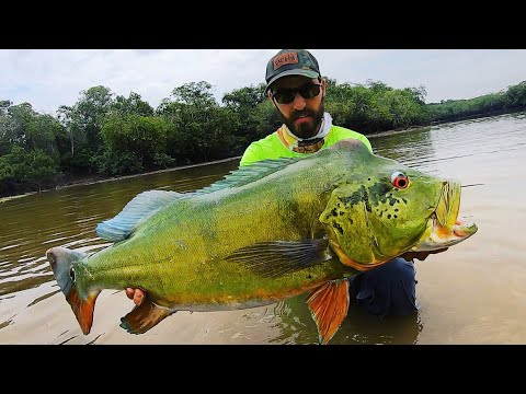 WE FOUND GIANT JUNGLE PEACOCK BASS!! 