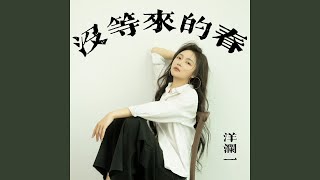 没等来的春 (Dj抒情版)