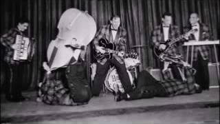 Watch Bill Haley  His Comets Flip Flop And Fly video