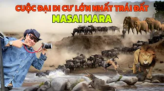 SEE THE MIGRATION SEASON OF WILD ANIMALS WITH FAHOKA AT MASAI MARA - KENYA & TANZANIA, AFRICA, HU...