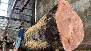 This Is How A Modern Wood Processing Factory Operates//Cuts A Giant 2000 Year Old Tree